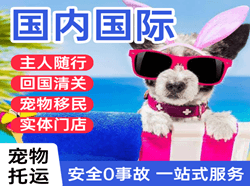 邯郸机场邮寄国际宠物托运 【国